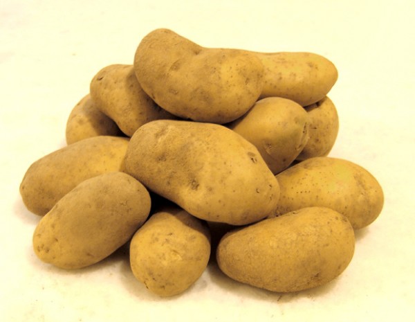 Εξαρθρώθηκε κύκλωμα ελληνοποίησης γαλλικής πατάτας  